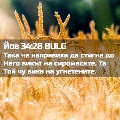 Picture 02 - Йов 34:28 BULG - Така че направиха да - Bible Verse Picture