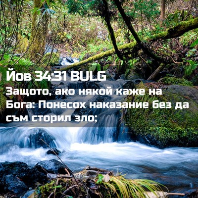 Picture 02 - Йов 34:31 BULG - Защото, ако някой каже на - Bible Verse Picture