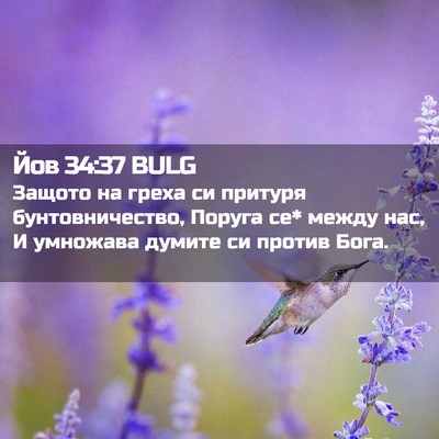 Picture 02 - Йов 34:37 BULG - Защото на греха си притуря - Bible Verse Picture
