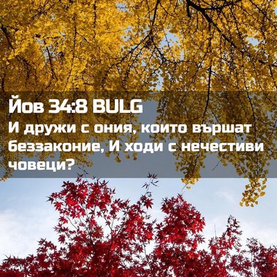 Picture 02 - Йов 34:8 BULG - И дружи с ония, които - Bible Verse Picture