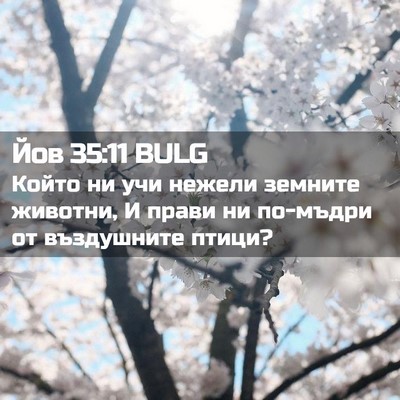 Picture 02 - Йов 35:11 BULG - Който ни учи нежели - Bible Verse Picture