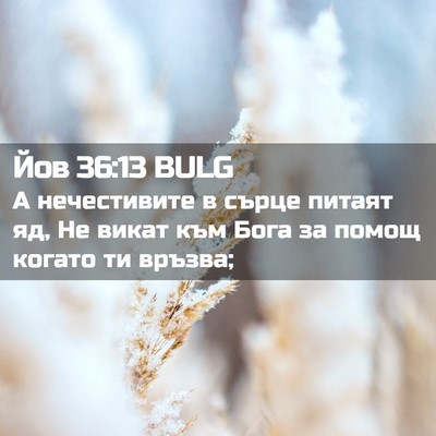 Picture 02 - Йов 36:13 BULG - А нечестивите в сърце - Bible Verse Picture