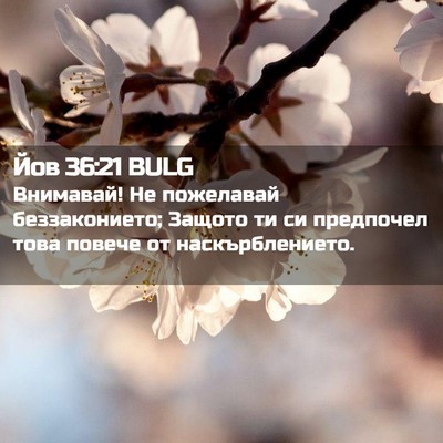 Picture 02 - Йов 36:21 BULG - Внимавай! Не пожелавай - Bible Verse Picture