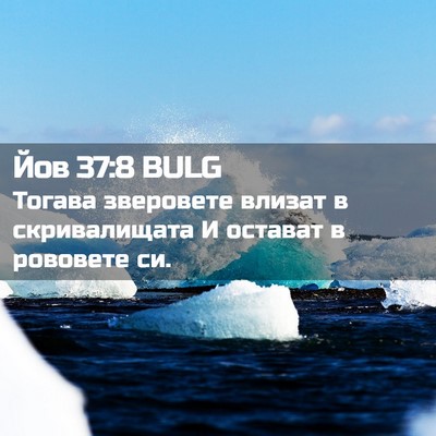 Picture 02 - Йов 37:8 BULG - Тогава зверовете влизат в - Bible Verse Picture