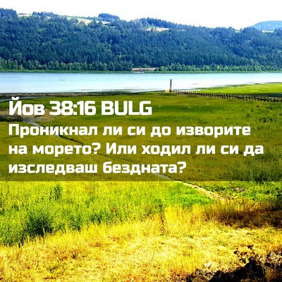 Picture 02 - Йов 38:16 BULG - Проникнал ли си до - Bible Verse Picture