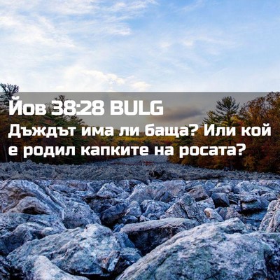 Picture 02 - Йов 38:28 BULG - Дъждът има ли баща? Или кой - Bible Verse Picture
