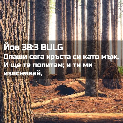 Picture 02 - Йов 38:3 BULG - Опаши сега кръста си като - Bible Verse Picture