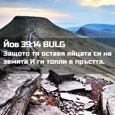 Picture 02 - Йов 39:14 BULG - Защото тя оставя яйцата си - Bible Verse Picture