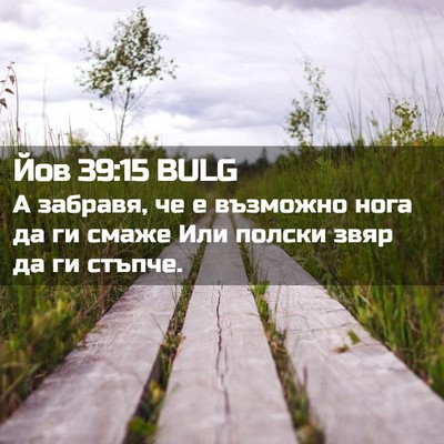 Picture 02 - Йов 39:15 BULG - А забравя, че е възможно - Bible Verse Picture