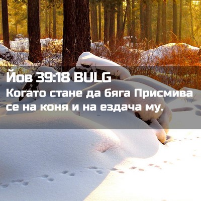 Picture 02 - Йов 39:18 BULG - Когато стане да бяга - Bible Verse Picture
