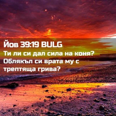 Picture 02 - Йов 39:19 BULG - Ти ли си дал сила на коня? - Bible Verse Picture