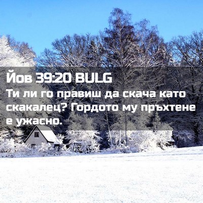 Picture 02 - Йов 39:20 BULG - Ти ли го правиш да скача - Bible Verse Picture