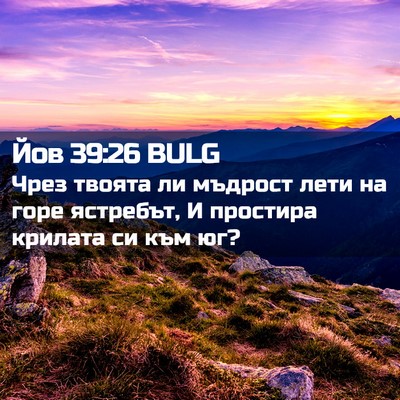 Picture 02 - Йов 39:26 BULG - Чрез твоята ли мъдрост - Bible Verse Picture