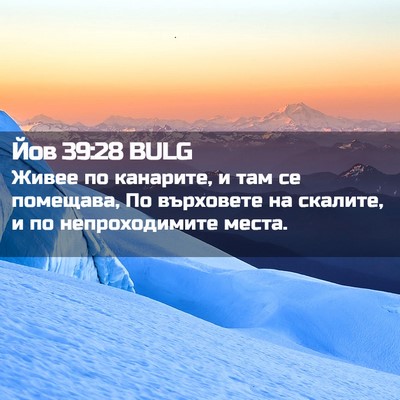 Picture 02 - Йов 39:28 BULG - Живее по канарите, и там се - Bible Verse Picture