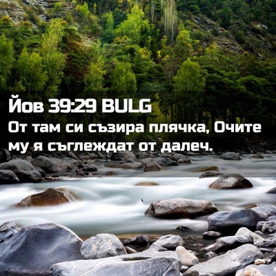 Picture 02 - Йов 39:29 BULG - От там си съзира плячка, - Bible Verse Picture