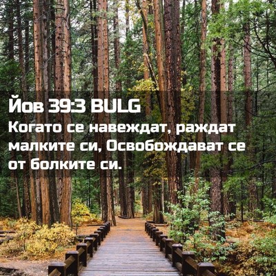 Picture 02 - Йов 39:3 BULG - Когато се навеждат, раждат - Bible Verse Picture
