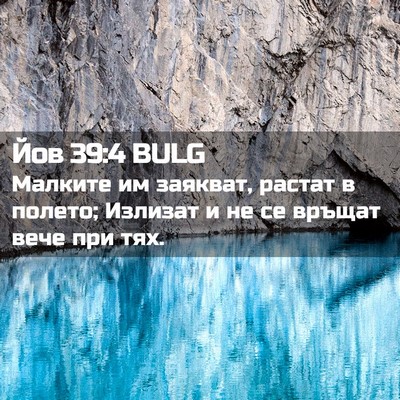 Picture 02 - Йов 39:4 BULG - Малките им заякват, растат - Bible Verse Picture