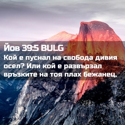 Picture 02 - Йов 39:5 BULG - Кой е пуснал на свобода - Bible Verse Picture