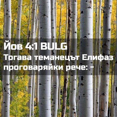 Picture 02 - Йов 4:1 BULG - Тогава теманецът Елифаз - Bible Verse Picture