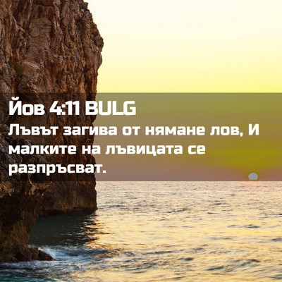 Picture 02 - Йов 4:11 BULG - Лъвът загива от нямане лов, - Bible Verse Picture
