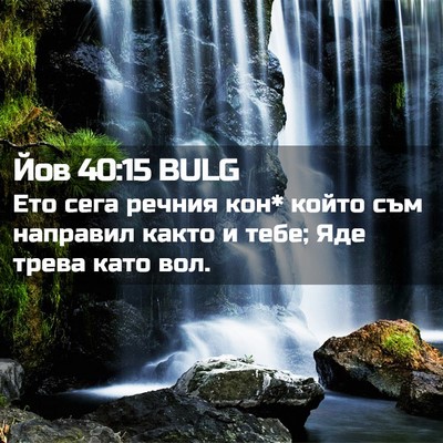 Picture 02 - Йов 40:15 BULG - Ето сега речния кон* който - Bible Verse Picture