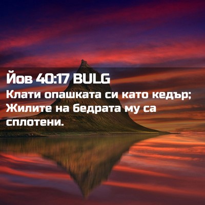 Picture 02 - Йов 40:17 BULG - Клати опашката си като - Bible Verse Picture