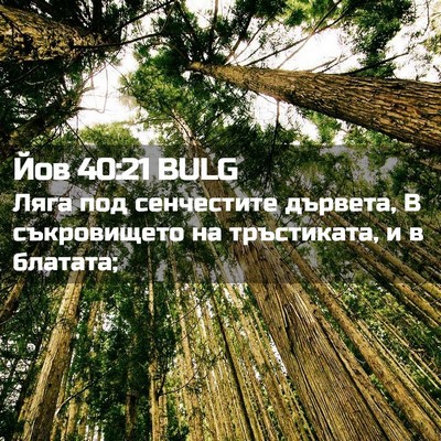 Picture 02 - Йов 40:21 BULG - Ляга под сенчестите - Bible Verse Picture
