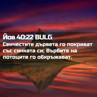 Picture 02 - Йов 40:22 BULG - Сенчестите дървета го - Bible Verse Picture