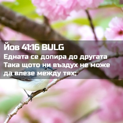 Picture 02 - Йов 41:16 BULG - Едната се допира до - Bible Verse Picture