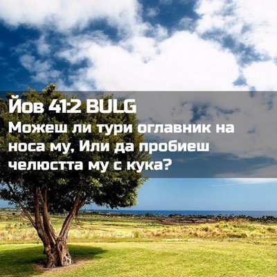 Picture 02 - Йов 41:2 BULG - Можеш ли тури оглавник на - Bible Verse Picture