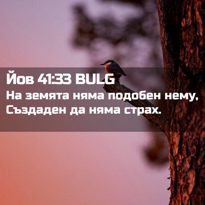 Picture 02 - Йов 41:33 BULG - На земята няма подобен - Bible Verse Picture