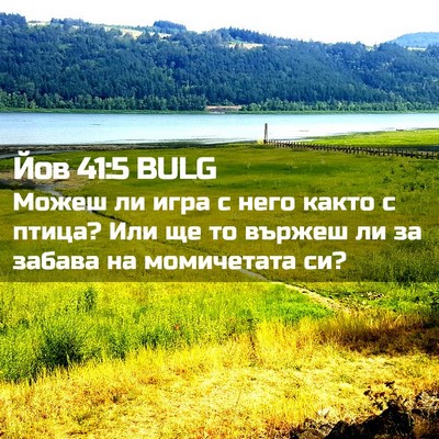 Picture 02 - Йов 41:5 BULG - Можеш ли игра с него както - Bible Verse Picture