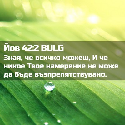 Picture 02 - Йов 42:2 BULG - Зная, че всичко можеш, И че - Bible Verse Picture