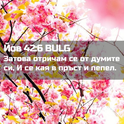 Picture 02 - Йов 42:6 BULG - Затова отричам се от - Bible Verse Picture