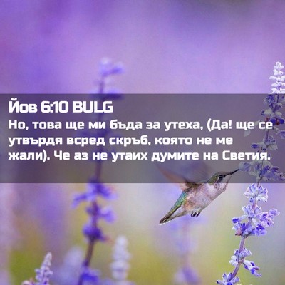 Picture 02 - Йов 6:10 BULG - Но, това ще ми бъда за - Bible Verse Picture