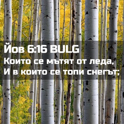 Picture 02 - Йов 6:16 BULG - Които се мътят от леда, И в - Bible Verse Picture