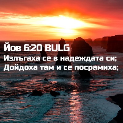 Picture 02 - Йов 6:20 BULG - Излъгаха се в надеждата си; - Bible Verse Picture
