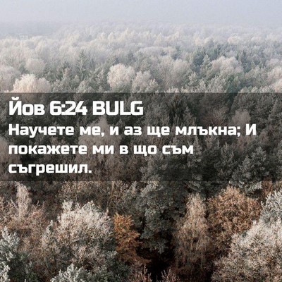 Picture 02 - Йов 6:24 BULG - Научете ме, и аз ще млъкна; - Bible Verse Picture