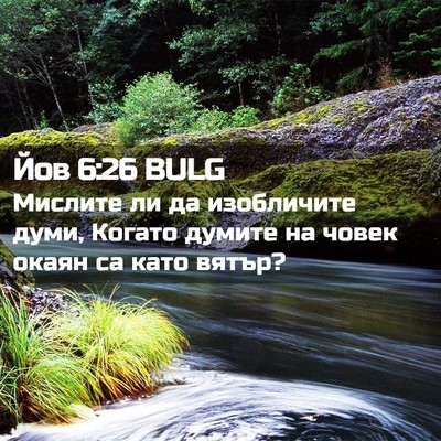 Picture 02 - Йов 6:26 BULG - Мислите ли да изобличите - Bible Verse Picture