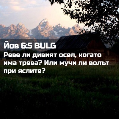 Picture 02 - Йов 6:5 BULG - Реве ли дивият осел, когато - Bible Verse Picture
