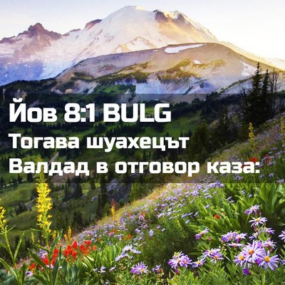 Picture 02 - Йов 8:1 BULG - Тогава шуахецът Валдад в - Bible Verse Picture