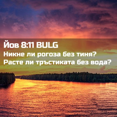 Picture 02 - Йов 8:11 BULG - Никне ли рогоза без тиня? - Bible Verse Picture