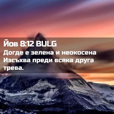 Picture 02 - Йов 8:12 BULG - Догде е зелена и неокосена - Bible Verse Picture