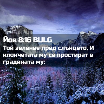 Picture 02 - Йов 8:16 BULG - Той зеленее пред слънцето, - Bible Verse Picture