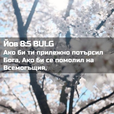 Picture 02 - Йов 8:5 BULG - Ако би ти прилежно - Bible Verse Picture