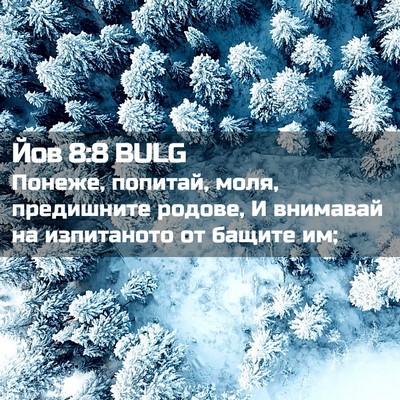 Picture 02 - Йов 8:8 BULG - Понеже, попитай, моля, - Bible Verse Picture