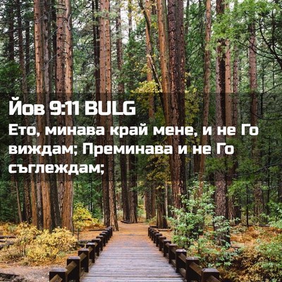 Picture 02 - Йов 9:11 BULG - Ето, минава край мене, и не - Bible Verse Picture