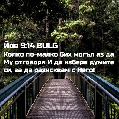 Picture 02 - Йов 9:14 BULG - Колко по-малко бих могъл аз - Bible Verse Picture