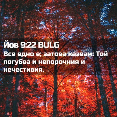 Picture 02 - Йов 9:22 BULG - Все едно е; затова казвам: - Bible Verse Picture