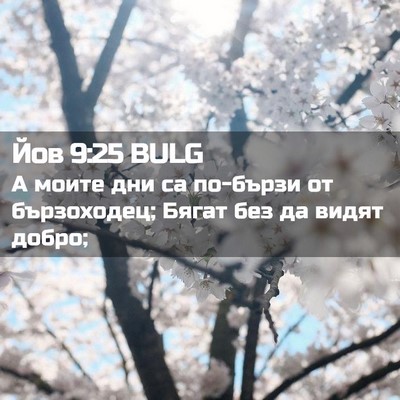 Picture 02 - Йов 9:25 BULG - А моите дни са по-бързи от - Bible Verse Picture